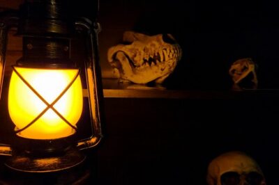 Escape Room Experience Taupo - The Cursed Cabin - Arriving in Taupō: meeting point, ticket style, and how check-in works