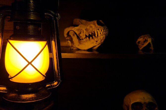 Escape Room Experience Taupo - The Cursed Cabin - Arriving in Taupō: meeting point, ticket style, and how check-in works