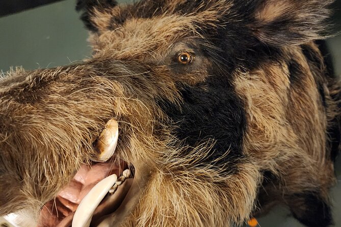 Escape Room Experience Taupo - The Hunting Lodge - Taupō’s Escape Rooms: where The Hunting Lodge fits in