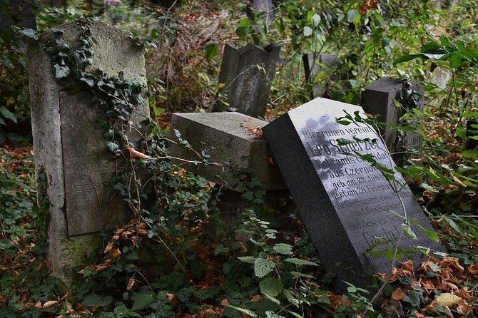 Mobile puzzle rally tour at the Vienna Central Cemetery - Key Highlights You’ll Actually Care About
